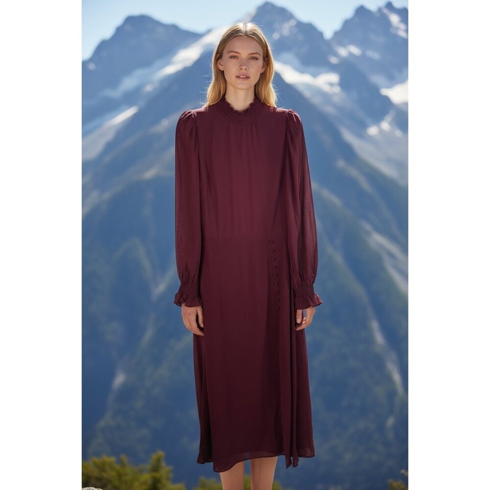 Reformation Stevi Burgundy Midi Dress With Sheer Sleeves Button Detailing & High